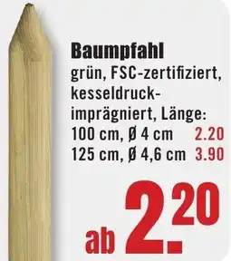 B1 Discount Baumarkt Baumpfahl Angebot