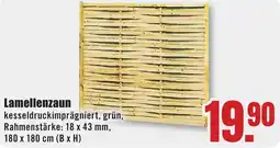 B1 Discount Baumarkt Lamellenzaun Angebot