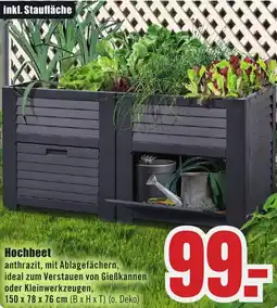 B1 Discount Baumarkt Hochbeet Angebot