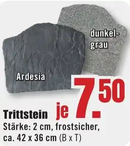 B1 Discount Baumarkt Trittstein Angebot