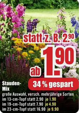 B1 Discount Baumarkt Stauden Mix Angebot