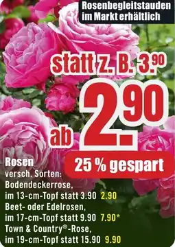 B1 Discount Baumarkt Rosen Angebot