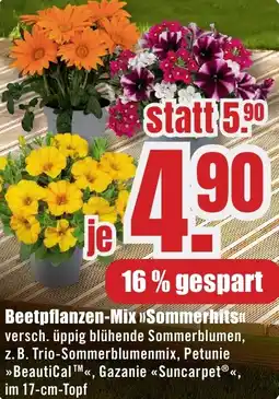 B1 Discount Baumarkt Beetpflanzen-Mix Sommerhits Angebot