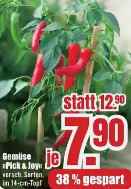 B1 Discount Baumarkt Gemüse Pick & Joy Angebot