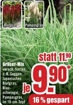 B1 Discount Baumarkt Gräser-Mix Angebot