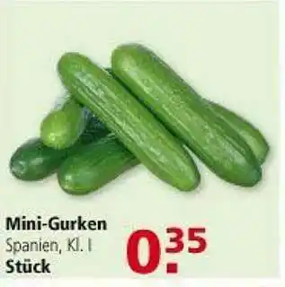 Multi Markt Mini-gurken Angebot