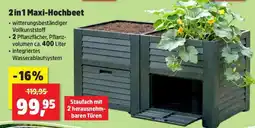 Thomas Philipps 2 in 1 Maxi-Hochbeet Angebot