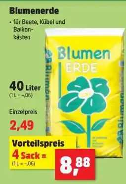 Thomas Philipps Blumenerde Angebot