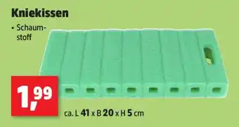 Thomas Philipps Kniekissen Angebot
