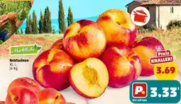 PENNY Nektarinen Angebot