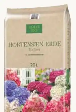 Pflanzen Kölle Kölle's Bio Hortensien-Erde-Torffrei Angebot