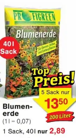 Wiglo Wunderland Blumenerde Angebot
