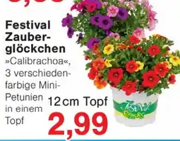 Wiglo Wunderland Festival Zauberglöckchen Angebot