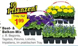 Wiglo Wunderland Beet- & Balkon-Mix Angebot