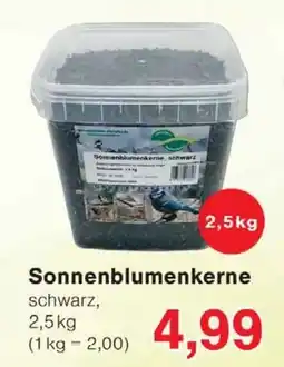 Wiglo Wunderland Sonnenblumenkerne Angebot