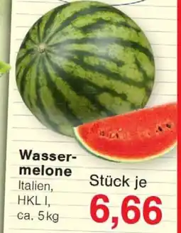 Wiglo Wunderland Wassermelone Angebot