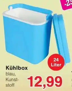 Wiglo Wunderland Kühlbox Angebot