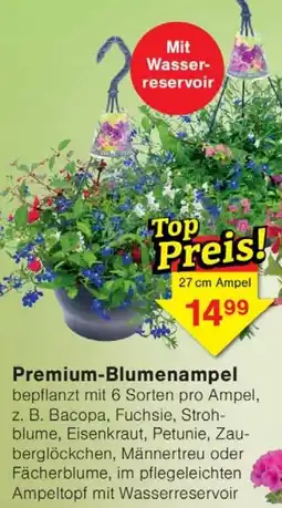 Wiglo Wunderland Premium-Blumenampel Angebot
