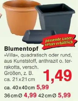 Wiglo Wunderland Blumentopf Angebot