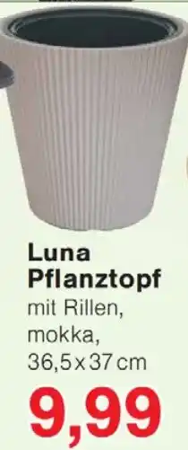 Wiglo Wunderland Luna Pflanztopf Angebot