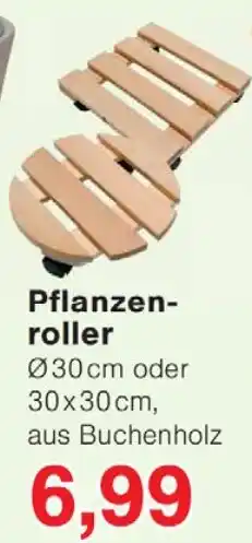 Wiglo Wunderland Pflanzenroller Angebot
