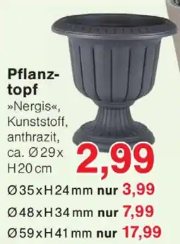 Wiglo Wunderland Pflanztopf Angebot