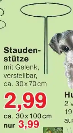 Wiglo Wunderland Staudenstütze Angebot