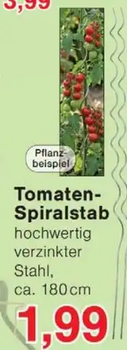 Wiglo Wunderland Tomaten Spiralstab Angebot