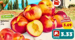 PENNY Marktliebe Nektarinen Angebot