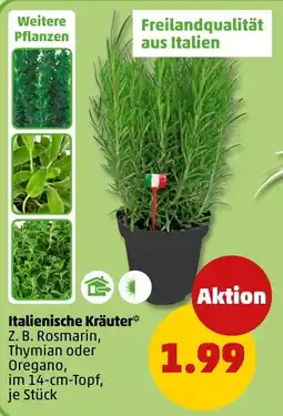 PENNY Italienische Kräuter Angebot