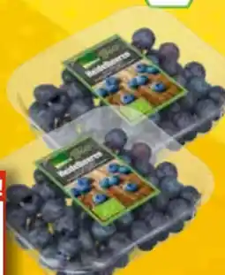 EDEKA Bandelt Edeka Bio Bio-Kulturheidelbeeren Angebot