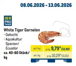 METRO White Tiger Garnelen Angebot