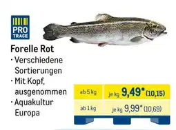 METRO Forelle Rot Angebot