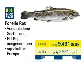 METRO Forelle Rot Angebot