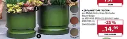 Dehner PFLANZTOPF 'FLORA' Angebot