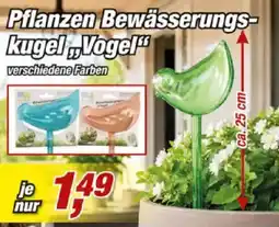 Posten Börse Pflanzen Bewässerungskugel „Vogel" Angebot