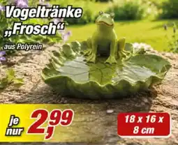Posten Börse Vogeltränke Frosch Angebot