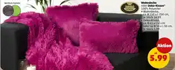 PENNY GÖZZE Wohndecke oder Deko-Kissen Angebot