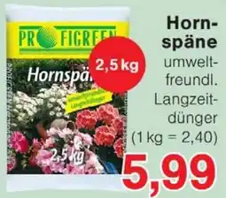 Wiglo Wunderland Hornspäne Angebot