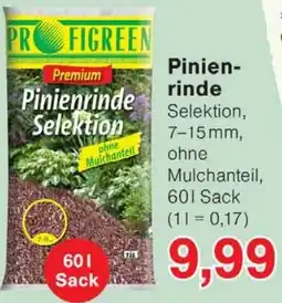 Wiglo Wunderland Pinienrinde Angebot