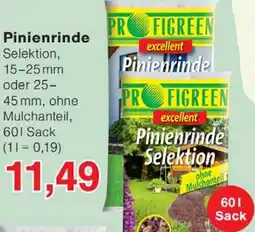 Wiglo Wunderland Pinienrinde Angebot
