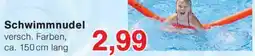 Wiglo Wunderland Schwimmnudel Angebot