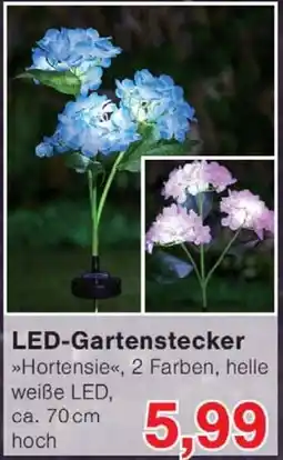 Wiglo Wunderland LED-Gartenstecker Angebot