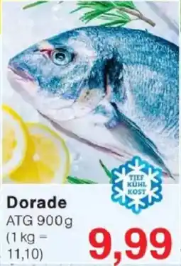 Jawoll Dorade Angebot