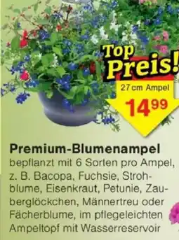 Jawoll Premium-Blumenampel Angebot