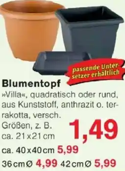 Jawoll Blumentopf Angebot