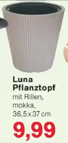 Jawoll Luna Pflanztopf Angebot