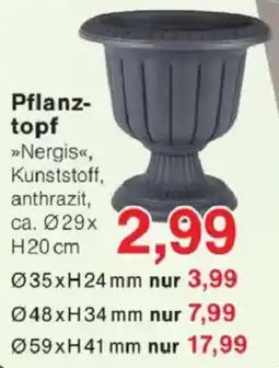 Jawoll Pflanztopf Angebot