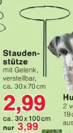 Jawoll Staudenstütze Angebot