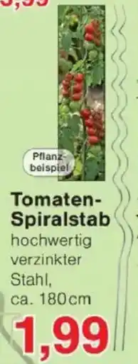 Jawoll Tomaten Spiralstab Angebot